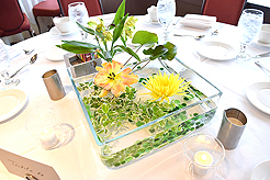 SEATTLE SPACE NEEDLE